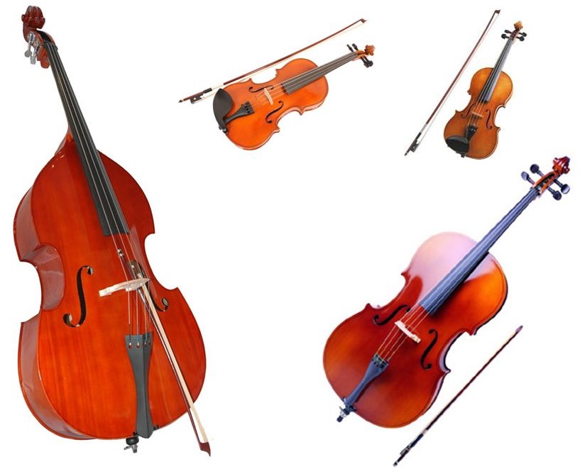 В колледже искусств возобновляется набор студентов по специализации “Оркестровые струнные инструменты”