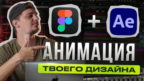 informatsiya-o-federalnom-proekte-dlya-studentov-po-osnovam-dizajna